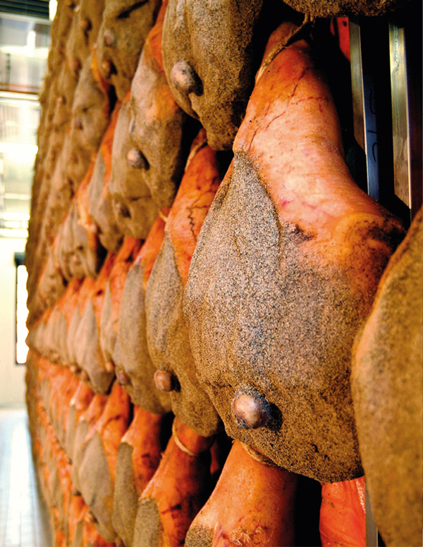Prosciutto crudo Pratomagno — cantina di stagionatura