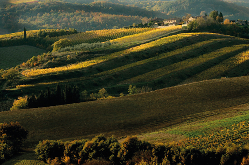 Rigatino di Greve in Chianti — territorio di produzione